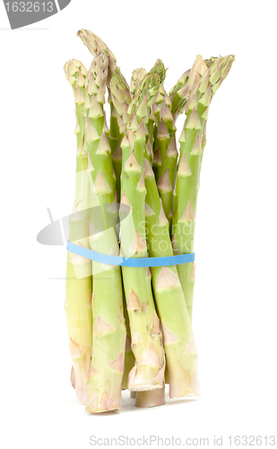 Image of Bunch of fresh asparagus