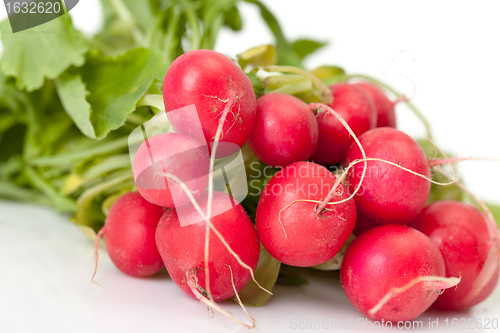 Image of Radish with leaf