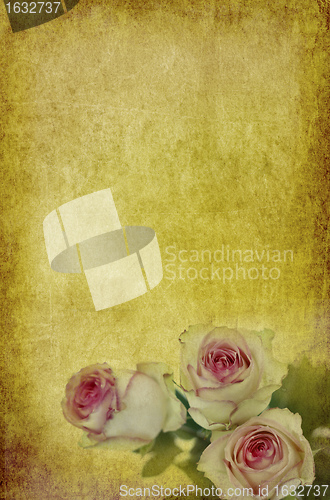 Image of roses on old paper