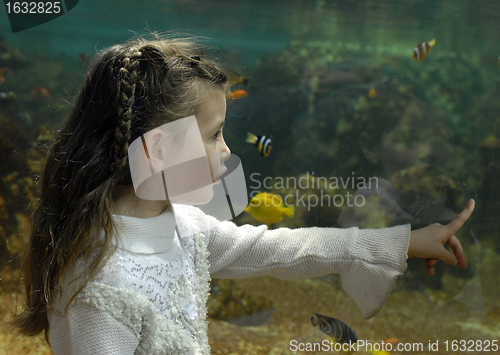 Image of little girl and aquarium