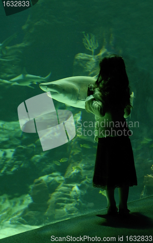 Image of little girl and shark