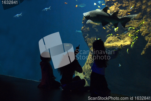 Image of children and shark