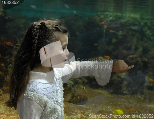 Image of little girl and aquarium