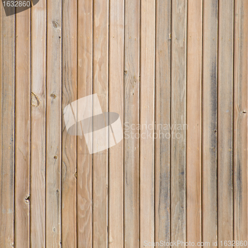 Image of Texture of pine wood