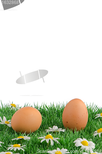 Image of Two eggs with artificial grass