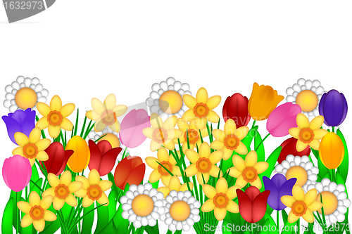 Image of Spring Flowers Illustration