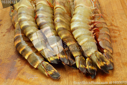 Image of big fresh tiger prawns, king prawns, shrimp