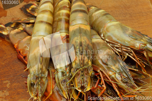 Image of big fresh tiger prawns, king prawns, shrimp