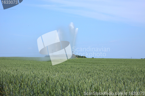 Image of watering of wheat fields in summer