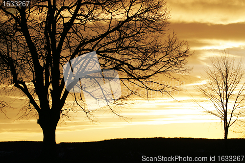 Image of Sunset