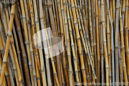 Image of cane