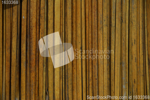 Image of cane