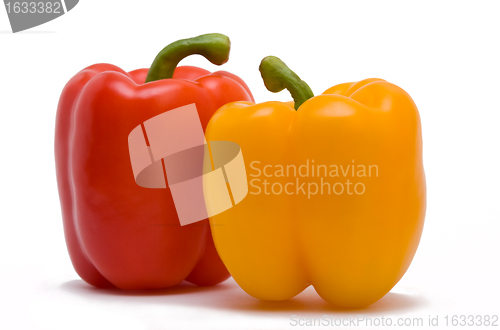 Image of isolated sweet red and yellow peppers
