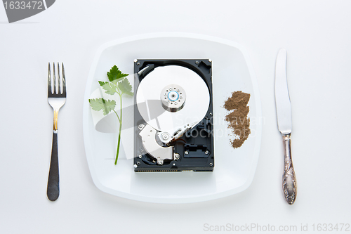 Image of hard disk on a plate