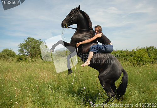 Image of rearing horse