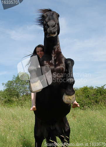 Image of rearing horse