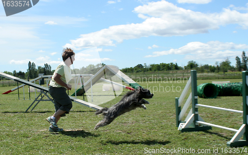 Image of agility