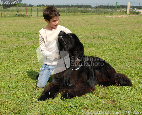 Image of little girl and big dog