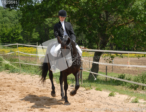 Image of horse and woman in dressage