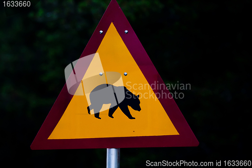 Image of bear warning