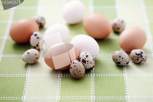 Image of eggs