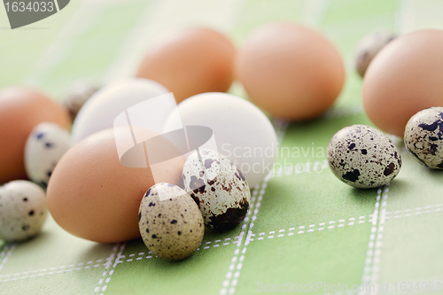 Image of eggs