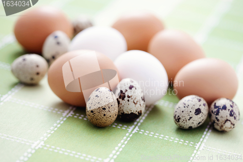 Image of eggs