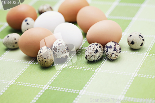 Image of eggs