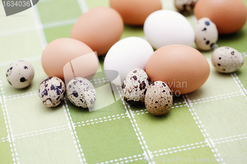 Image of eggs