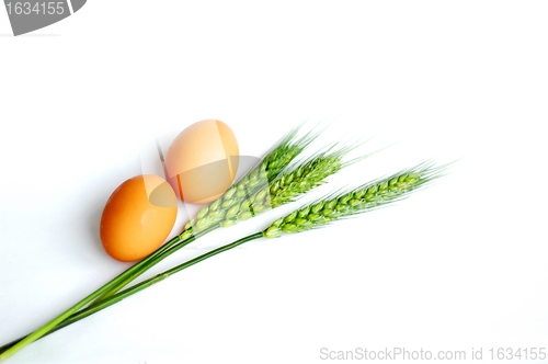Image of Green wheat ears and eggs