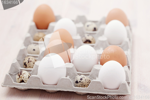 Image of eggs