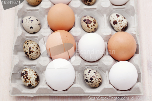 Image of eggs