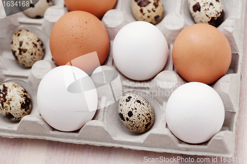 Image of eggs