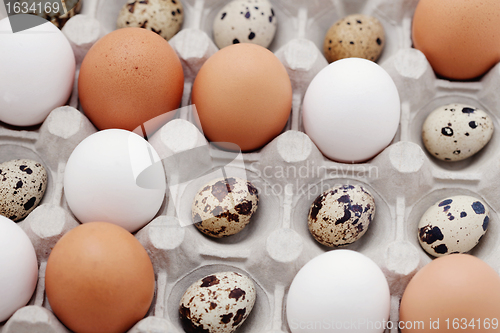 Image of eggs