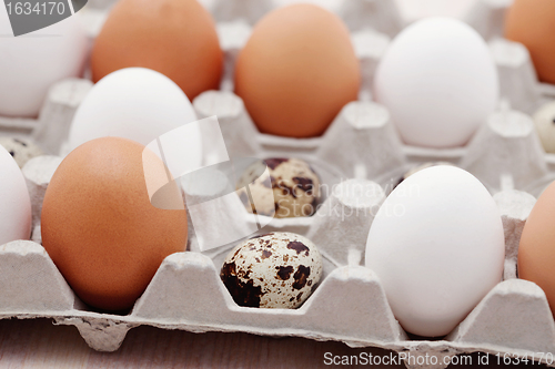 Image of eggs