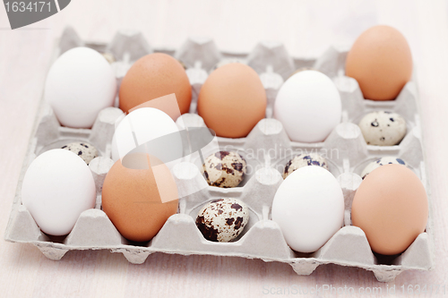Image of eggs
