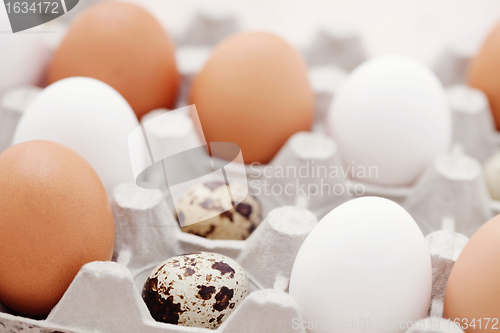 Image of eggs