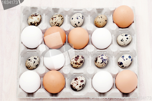 Image of eggs