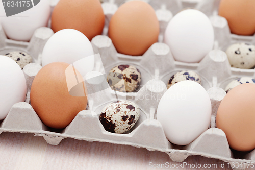 Image of eggs