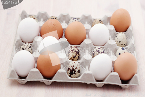 Image of eggs