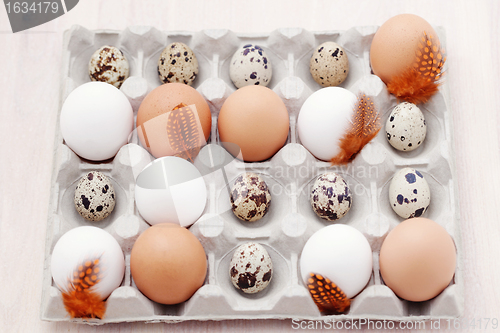 Image of eggs