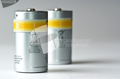 Image of standing D batteries