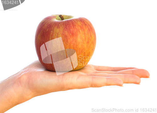 Image of red apple on female palm