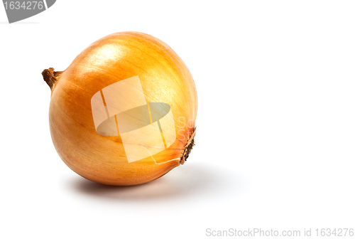 Image of onion in peel