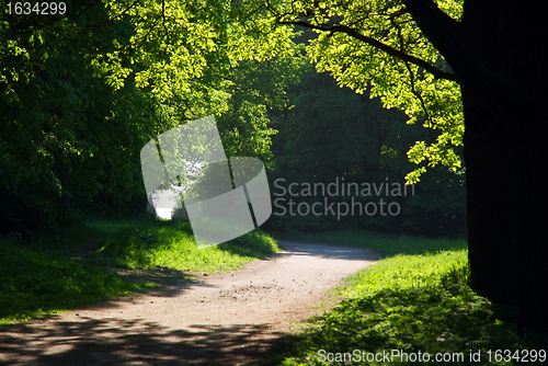 Image of Shadow Path