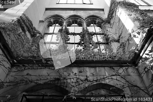 Image of Spooky looking building with ivy growing up it