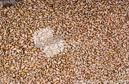 Image of sunflower seeds