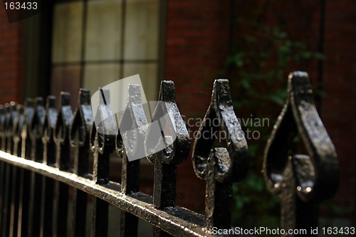 Image of Wrought Iron Fence Of Spades