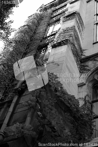 Image of Spooky Looking abandoned Church