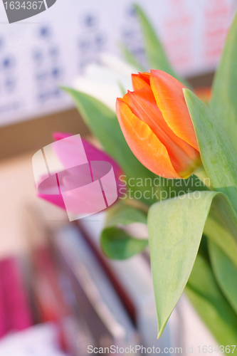 Image of spring tulips